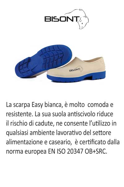 Scarpa Professionale in PVC Easy: Igiene e Comfort Certificato